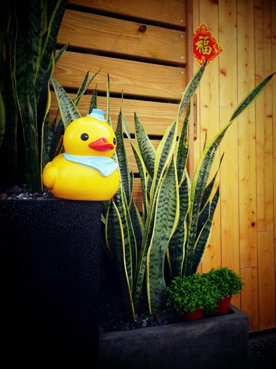 Yy Elleys Home Цзяосі Екстер'єр фото